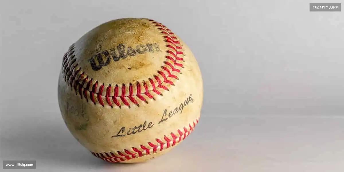 为什么选择我们